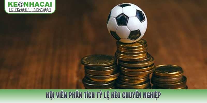 Hội viên phân tích tỷ lệ kèo chuyên nghiệp